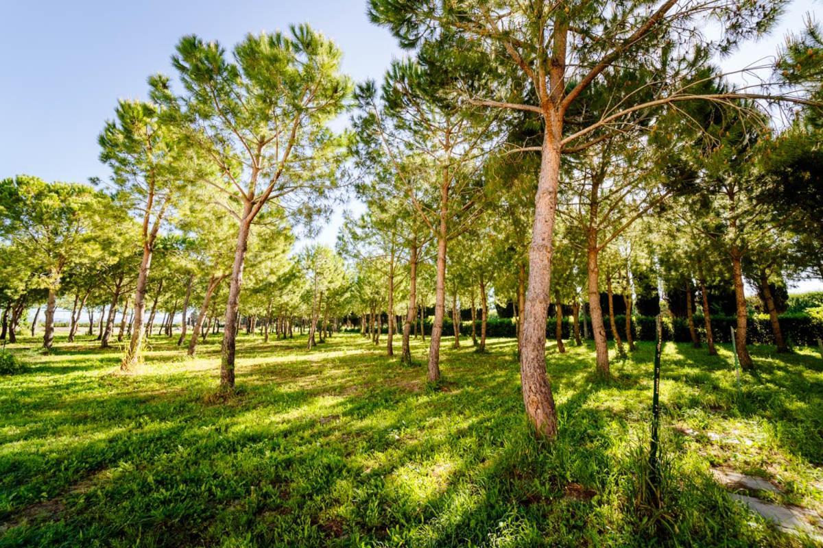 Agriturismo Bio San Mamiliano Grosseto Exterior foto